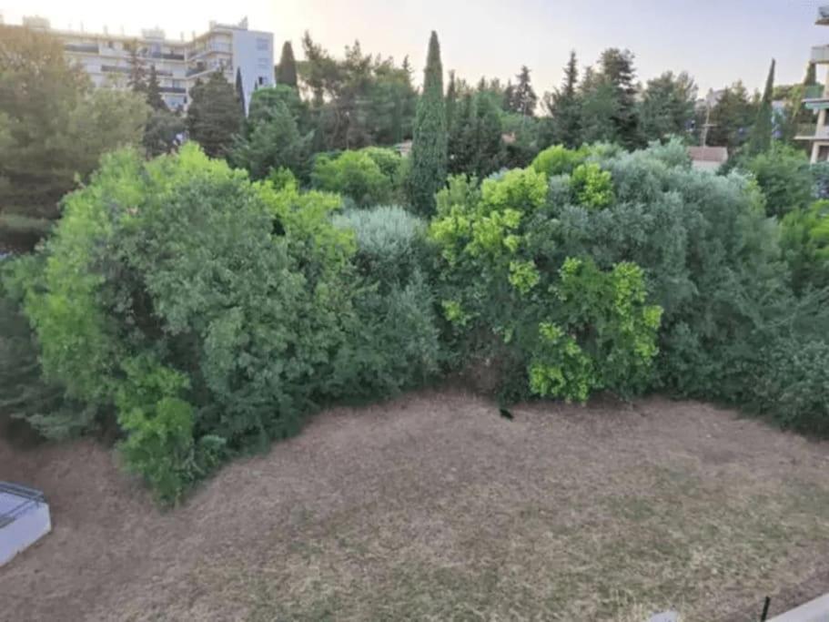 Magnifique Rooftop Duplex Climatise Familial, Aux Arceaux Montpellier Ngoại thất bức ảnh