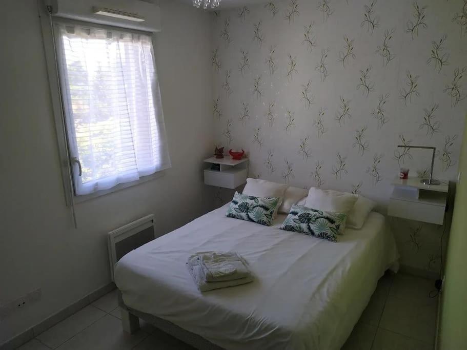 Magnifique Rooftop Duplex Climatise Familial, Aux Arceaux Montpellier Ngoại thất bức ảnh